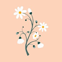 Daisy flower clipart, aesthetic feminine illustration