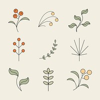 Floral ornament illustration, simple botanical design set vector