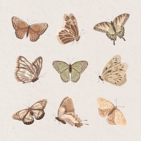 Aesthetic butterfly, beige watercolor collage element set vector