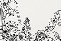 Line art flower background, botanical hand drawn design psd