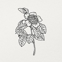 Hand drawn flower sticker, minimal black and white line art design psd