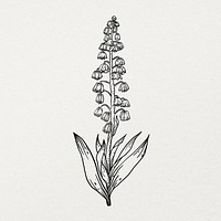 Hand drawn flower sticker, minimal black and white line art design psd