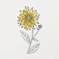 Botanical watercolor line art sticker, aesthetic flower element on beige background vector