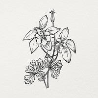 Hand drawn flower sticker, minimal black and white line art design psd