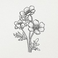 Flower line art design illustration, botanical hand drawn design