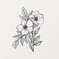 Botanical watercolor line art sticker, aesthetic flower element on beige background psd