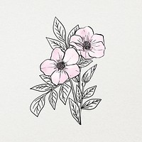 Pink watercolor flower line art, aesthetic botanical design