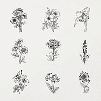 Aesthetic flower sticker line art, botanical illustration black and white collection vector