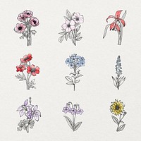 Aesthetic flower line art sticker, watercolor botanical set psd