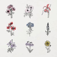 Aesthetic flower line art sticker, watercolor botanical collection vector