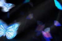 Black background, blue butterfly, aesthetic design vector