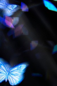 Black background, blue butterfly, aesthetic design psd