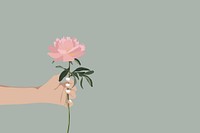 Pink rose background, botanical illustration design vector
