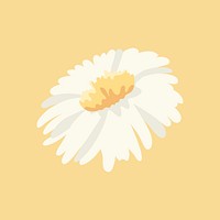 Daisy clipart, white flower illustration design
