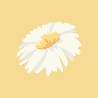 Daisy clipart, white flower illustration design psd
