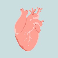 Heart clipart, mental health illustration
