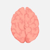 Pink brain clipart, mental health illustration vector