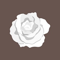 White rose clipart, botanical design psd