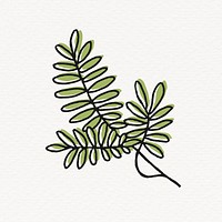 Acacia tree leaves clipart, line art design