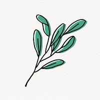 Sage leaf clipart, line art design