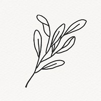 Sage leaf clipart, line art design