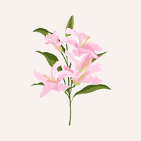 Lily flower sticker, pink botanical, feminine illustration vector