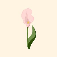 Pink calla lily sticker, flower illustration vector