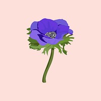 Purple anemone sticker, aesthetic flower illustration psd