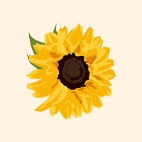 Yellow flower clipart, sunflower spring illustration