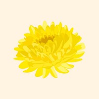 Yellow chrysanthemum sticker, colorful flower collage element vector
