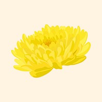 Yellow chrysanthemum sticker, colorful flower collage element psd