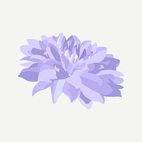 Purple flower clipart, chrysanthemum botanical aesthetic