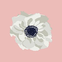 Anemone flower sticker, white botanical illustration psd