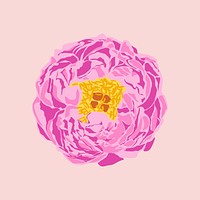 Realistic peony sticker, pink flower illustration vector