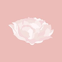 Aesthetic carnation flower sticker, white design vector