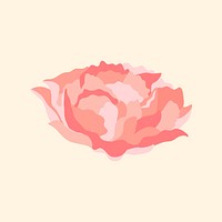Aesthetic carnation flower sticker, pink design psd