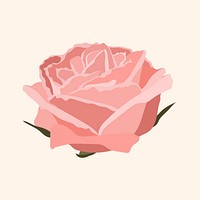 Pink pastel rose sticker, flower illustration psd