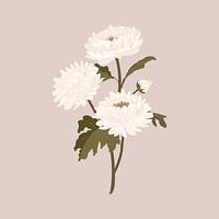 White aesthetic flower sticker, chrysanthemum pastel illustration vector