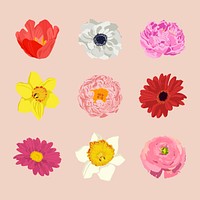 Blooming flower sticker, spring aesthetic illustration psd set