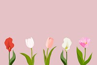 Feminine tulip background, pink flower border vector