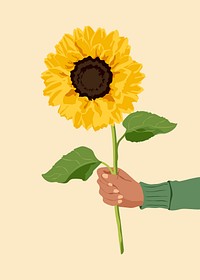 Aesthetic sunflower background, hand holding flower psd