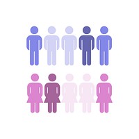 Corporate gender distribution statistics vector