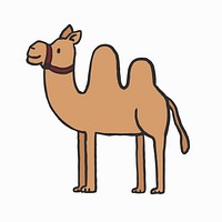 Hand drawn camel illustration