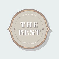 Guaranteed the best collection badge vector