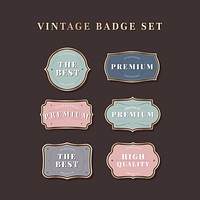 Colorful vintage premium badge vectors