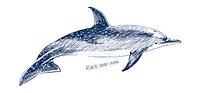 Illustration drawing style of atlantic dotted dolphin