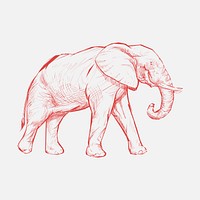 Illustration drawing style of elephant