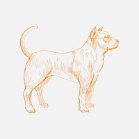 Illustration drawing style of dog