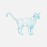 Illustration drawing style of cat