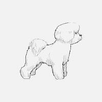 Illustration drawing style of dog